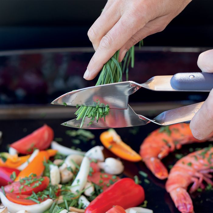 Ciseaux Culinaires en Inox 