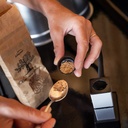 Kit Fumage avec Cloche Inox 