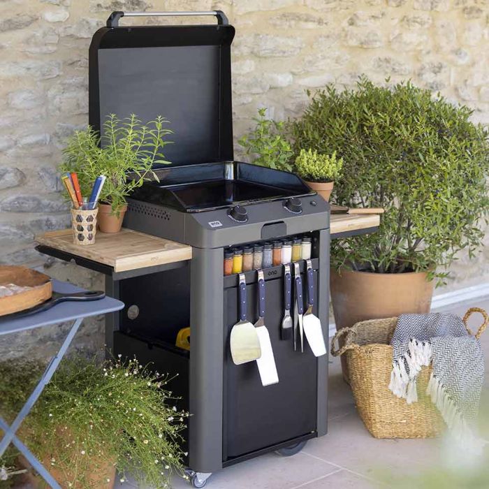 Combo FUSION 60 Plancha Gaz sur Chariot 