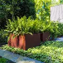 ADEZZ20Hoveniers_Tuin%20Rosmalen_025_367A8C26-7FE9-4B0C-B6CC-CEA75C085374.webp