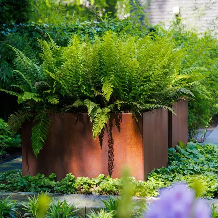 ADEZZ20Hoveniers_Tuin%20Rosmalen_038_2B9F4F55-9523-4323-BB40-361DD0825B27.webp