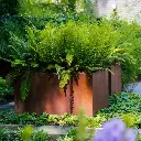 ADEZZ20Hoveniers_Tuin%20Rosmalen_038_2B9F4F55-9523-4323-BB40-361DD0825B27.webp